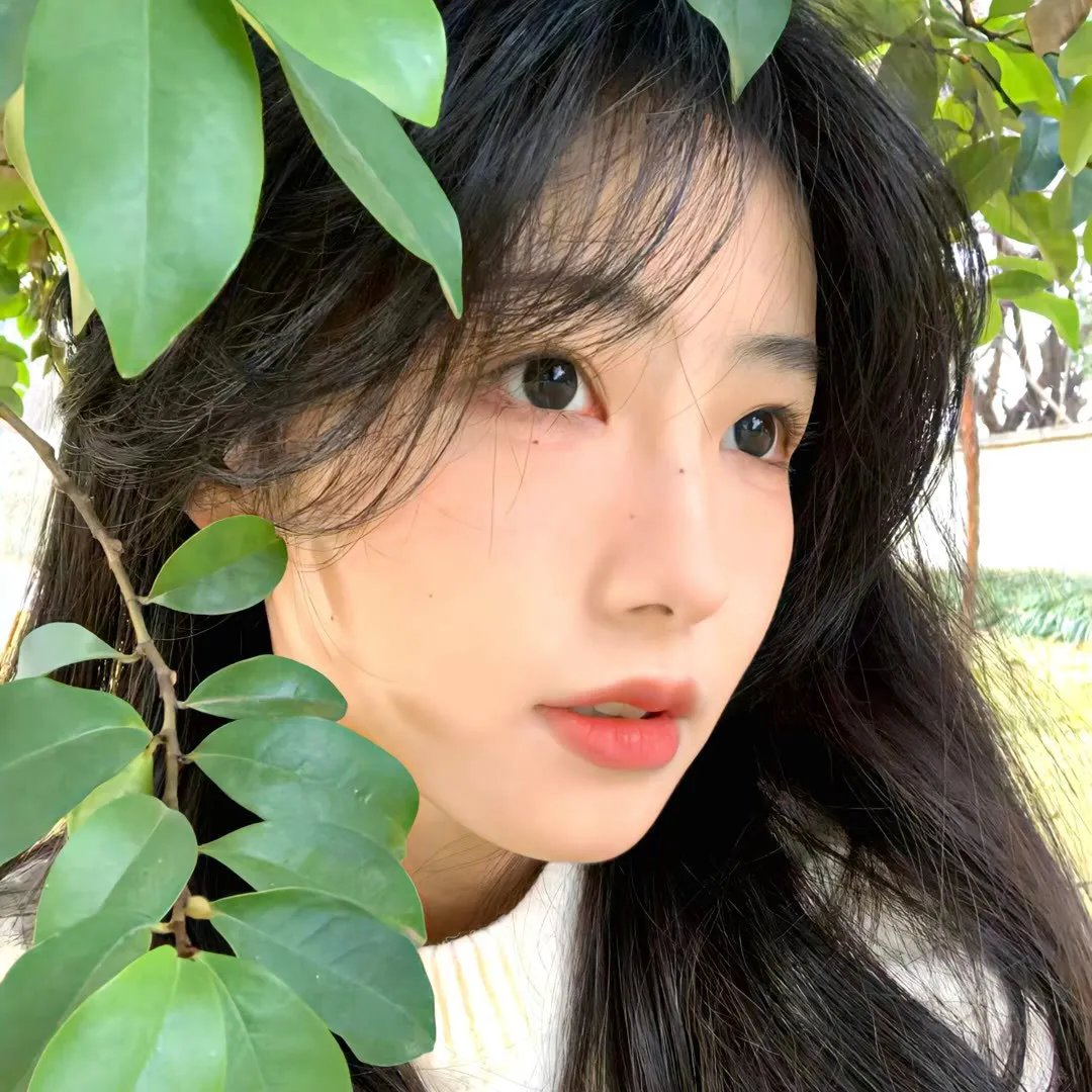 萝拉的星星在中国